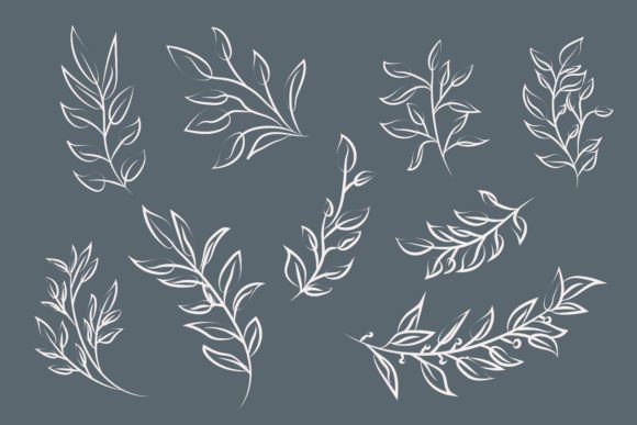 Botanical Leaves and Branches Lines Art